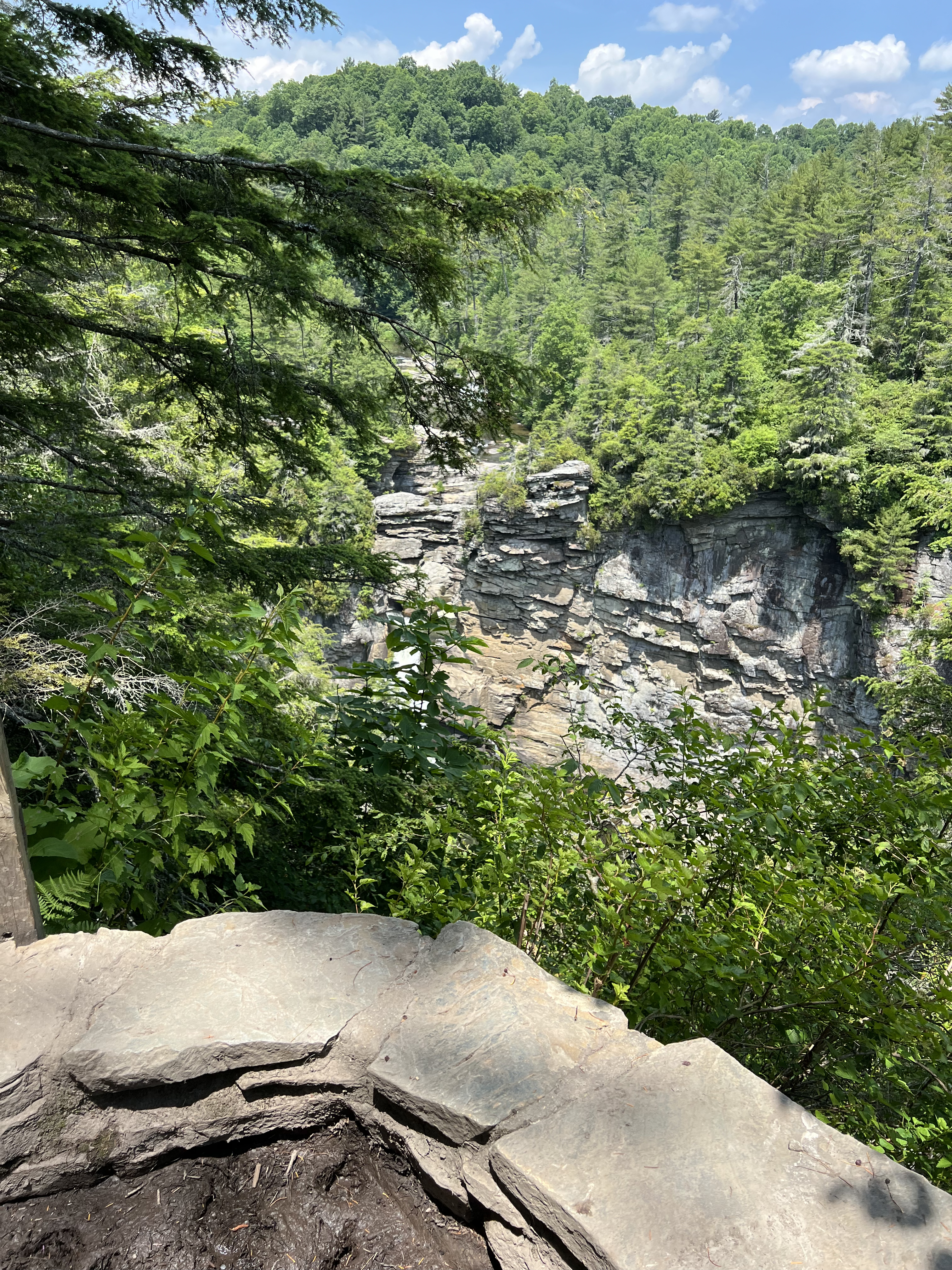 ./2024/08 - Banner Elk/Linville Falls/IMG_2097.jpg